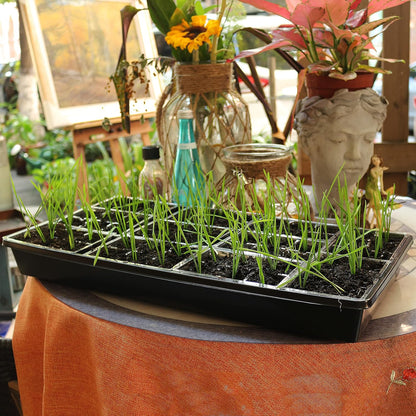 Gardzen 10 Pack Seed Trays, Reusable Plant Grow Trays, Ideal for Seed Starting, Microgreens, Indoor Gardening, and Greenhouse Plant Nurseries - No Drain Holes, 20"x10"