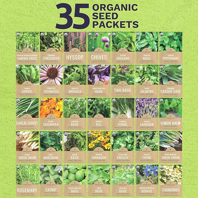 Organic Herb Seeds Variety Pack - 35 Individual Packs - 2025 Season - Basil, Cilantro, Dill, Thyme, Parsley and More! for Indoor & Outdoor Planting (Non-GMO, Certified Organic)