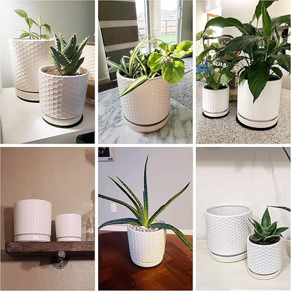 D'vine Dev Set of 2 Modern Matte White Honeycomb Embossed Ceramic Planter Pots with Saucer and Drainage Hole, 4 Inch & 6 Inch, 99-C-1-N