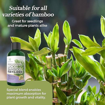 Professional Liquid Lucky Bamboo Fertilizer | 3-1-2 Concentrate for Flowering Plants | Multi-Purpose Blend & Gardening Supplies | 8 oz Bottle