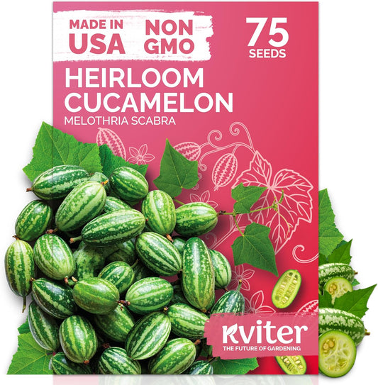 KVITER 75 Cucamelon Seeds for Planting (Melothria Scabra) – Mexican Sour Gherkin Seeds, Gherkin Cucumber, Mexican Mini Watermelon – Heirloom Vegetable Seed for Outdoor & Indoor Garden, Containers