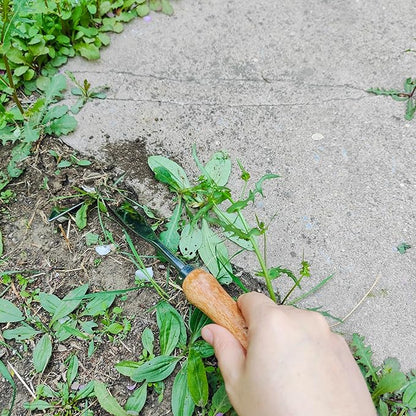 Gardening Tool, Weeder Tool Set Weeding Artifact Uprooting Tool for Garden & Patio (3pcs Weeder Tool 01)