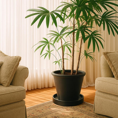 D'vine Dev Modern Round 8.7 Inch Ceramic Plant Pot Saucer, Planter Pot Drainage Tray for Indoor Plants, Matte Black, 97-T-B-4