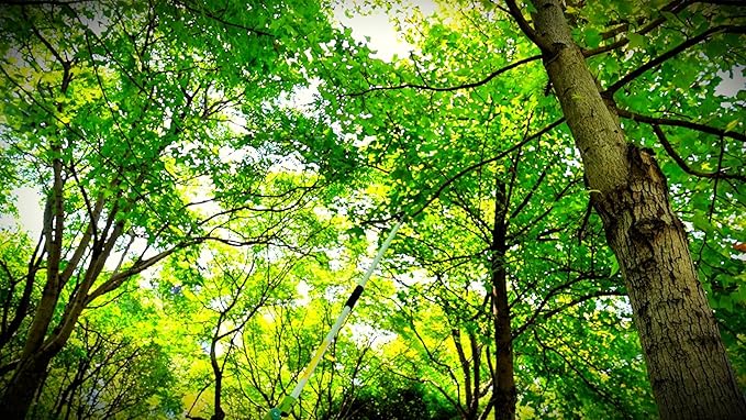 GARTOL Cut & Hold Pole Pruner, 4.2 FT Lightweight Fruit Picker with 180° Rotating Handle, SK5 Steel Blade Cuts up to 1/2 Inch, Long Reach Garden Tree Trimmer & Branch Cutter for Shrubs, Bushes