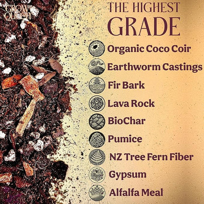 Craft Aroid Potting Mix- Elite Organic Alocasia, Philodendron, Monstera Soil Mix, Chunky, Well Draining Potting Soil for Indoor Plants, All Tropical Plants & Houseplants, Sustainable & Peat Free 1QT