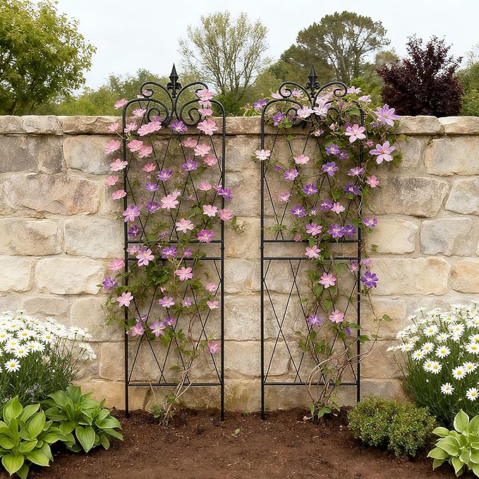 Garden Trellis for Climbing Plants 59inch x15inch Rustproof Metal Vine Trellises for Outdoor Climbing Plants Support Structures A (150cm) 2Pack