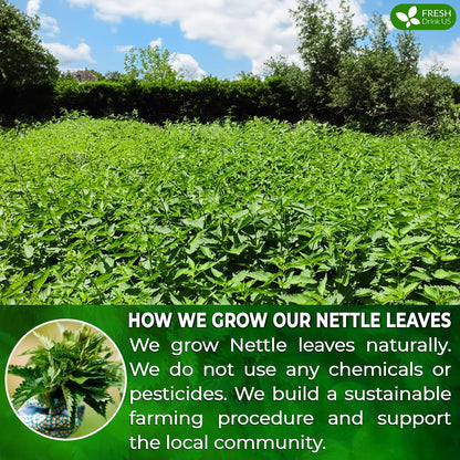 FreshDrinkUS, Premium 75 Nettle Leaf Tea Bags, 100% Natural & Pure from Nettle Leaves. Loose Leaf Nettle Herbal Tea. Nettle Leaf Tea. No Sugar, No Caffeine, No Gluten, Vegan.