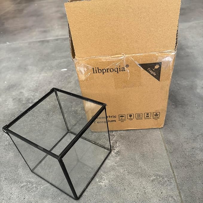 Small Square Glass Terrarium with Lid,Geometric Clear Box for Indoor Plants,Black Little Handmade Planter Pot for Succulents,Moss and Air Plant Fern,Home Garden Decor,4.3 x 4.3 x 4.7inch