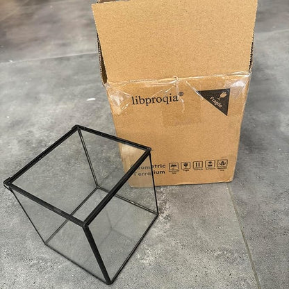 Small Square Glass Terrarium with Lid,Geometric Clear Box for Indoor Plants,Black Little Handmade Planter Pot for Succulents,Moss and Air Plant Fern,Home Garden Decor,4.3 x 4.3 x 4.7inch