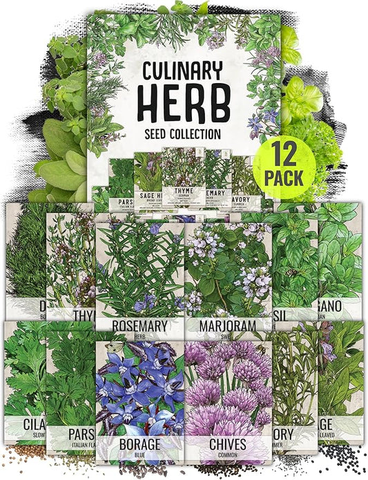 Seed Needs Herb Seeds Variety Pack Culinary Herb Collection (12 Individual Packets for Planting Indoors or Outdoors) Grow Your Own Herb Garden - Heirloom, Non-GMO