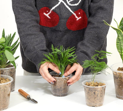 60 Pack 4 Inch Clear Nursery Pots with Drainage Holes, Transparent Plastic Plant Pot, Reinforced Seed Starter Pots Flower Pots Come with 50pcs Plant Labels