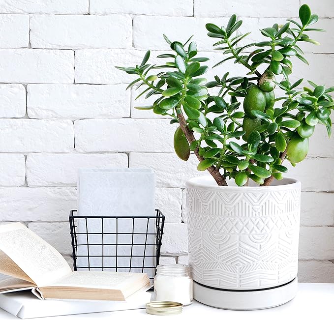 D'vine Dev Set of 2 Modern Matte White Floral Embossed Ceramic Planter Pot with Saucer and Drainage Hole, 4 Inch & 6 Inch, 99-C-1-M