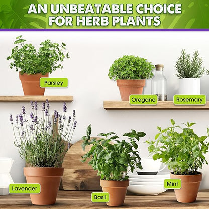 DUSPRO Recycle Pre-Mixed House Plant Potting Mix 7in1 with Potting Soil Indoor Plants, Tropical Indoor Potting Soil with Pine Bark, Pumice, Coco Coir, Perlite, Worm Castings, Gypsum, Peat Moss 4QRT