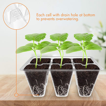 Gardzen 30 Pack 6-Cell Seed Starting Tray for Seedlings, Plant Starter Trays with Drainage Holes for Seed Germination, 5.4x3.7 inches, Clear