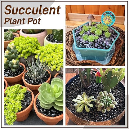 45LB Polished Black Pebbles,1/4" - 3/4" Small Black River Rocks for Landscaping, Natural Gravel Smooth Decorative Stones Dressing for Vases Planters Garden Outdoor Indoor