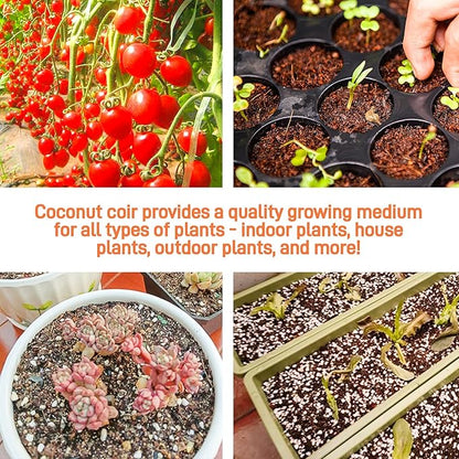 3-Pack Coco Coir Bricks, Premium Organic Peat Moss Mix for Plants, Low EC & pH Balance, Fiber Coconut Husk. Ideal for Gardening, Potting Soil & Substrate