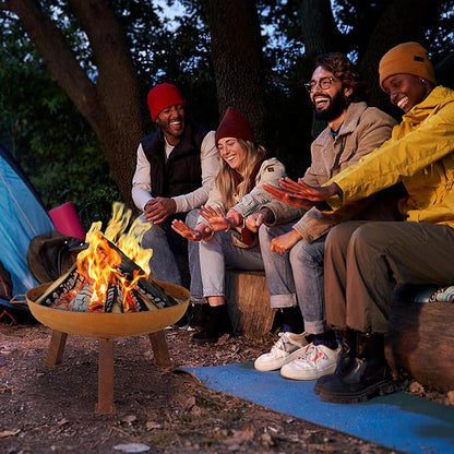 Sunnydaze 24-Inch Cast Iron Heavy-Duty Fire Pit for Outside - Wood-Burning Outdoor Fire Pit Bowl with Handles - Oxidized Finish