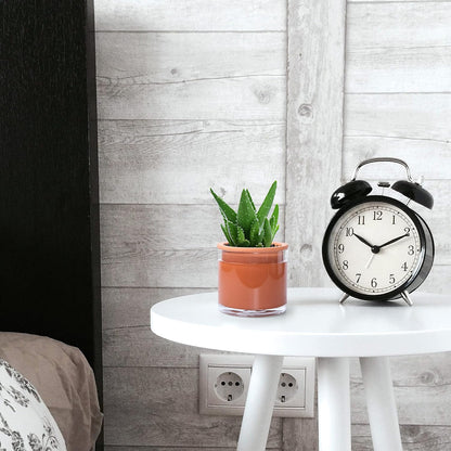 Phoenix Vine 4 Inch Self Watering Plants Pot, Design Terracotta Pot for Plants, Indoor Cylinder Terra Cotta Planter with Glass Vase, Set of 1, 51-A-E-1