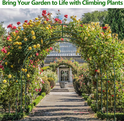 Large Garden Support Arch Frame for Climbing Plants, 9.85 x 7.05 x 7.22 ft Heavy Duty Plant Climbing Arbor Arch, Multi-Purpose Support Frame for Vines, Weddings & Backyard Decoration