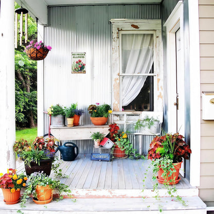 Bestylez Garden Gifts Vintage Cactus No Pricks Allowed Gardening Signs for Home Garden Greenhouse Living Room Bedroom Yard Outdoor Decor 8X12 Inch (3365)