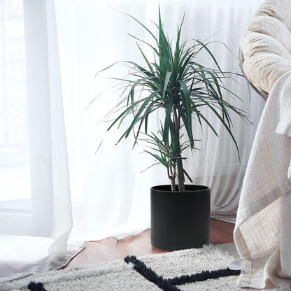 D'vine Dev 10 Inch Plastic Planter Pots for Plant Pot with Drainage Hole and Seamless Saucers, Black Color, 74-X-B-2