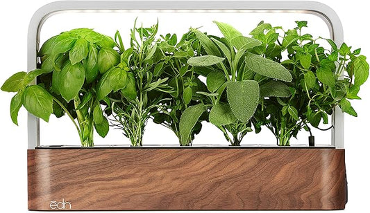 EDN SmallGarden with Basil SeedPods, Indoor Grow Smart Garden for iOS Devices - Fresh Home Grown Herbs, Plants and Flowers - Grow up to 10 Different Plants at Once