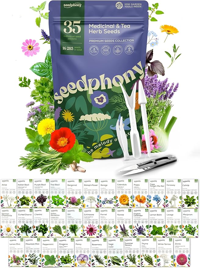 35 Medicinal & Tea Herb Seeds Variety Pack - 16,285+ Non-GMO Heirloom Herbs Seeds for Planting Indoor & Outdoor: Lavender, Rosemary, Echinacea, Mint, Catnip, Basil - Gardening Seed Packets