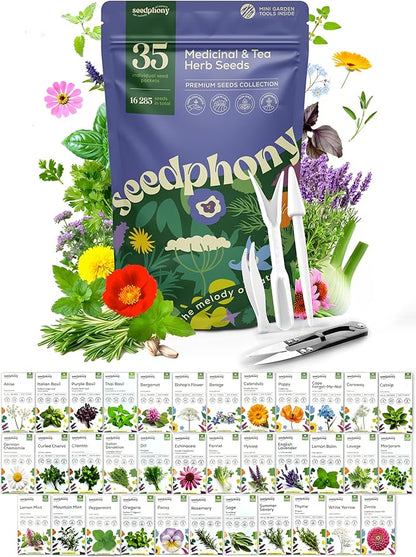 35 Medicinal & Tea Herb Seeds Variety Pack - 16,285+ Non-GMO Heirloom Herbs Seeds for Planting Indoor & Outdoor: Lavender, Rosemary, Echinacea, Mint, Catnip, Basil - Gardening Seed Packets