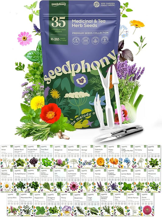 35 Medicinal & Tea Herb Seeds Variety Pack - 16,285+ Non-GMO Heirloom Herbs Seeds for Planting Indoor & Outdoor: Lavender, Rosemary, Echinacea, Mint, Catnip, Basil - Gardening Seed Packets