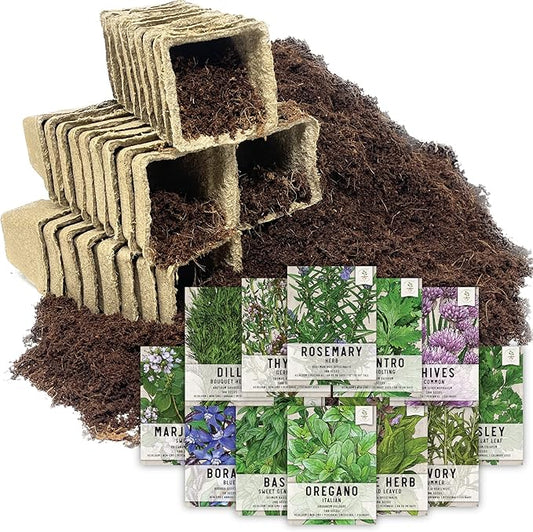Seed Needs, Culinary Herb Seed Packet Collection Seed Starting Bundle (Includes 12 Individual Seed Packets, 36 Starter Pots & 1 Expandable Coco Coir Brick) Heirloom, Non-GMO, Untreated