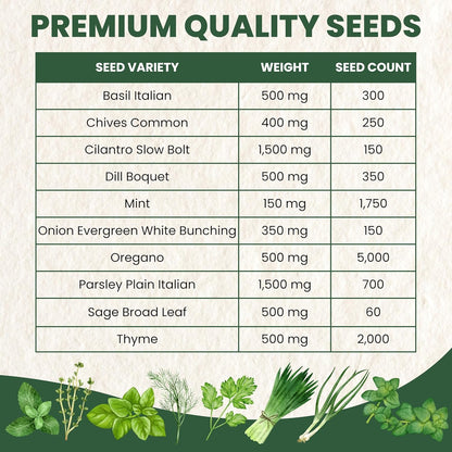 Herb Seeds | 10 Invidiual Packs | 2025 Season | Non-GMO | Mint, Parsley, Basil, Thyme & More! | for Planting Indoor & Outdoor | by Family Sown