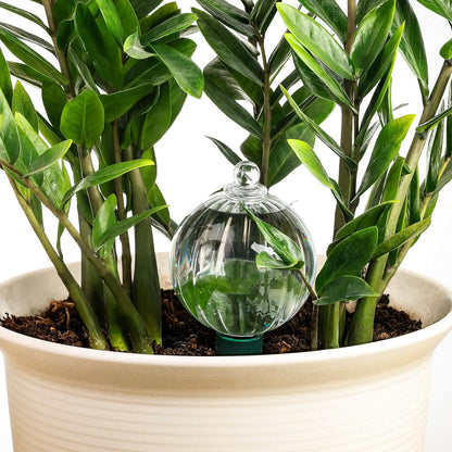 23 oz Extra Large Plant Watering Globes Top Fill, Clear Glass Water Bulbs with Terracotta Spikes Stake, Vacation Slow Release Self Watering Planter Insert, Automatic Drip Device, 1 Pack
