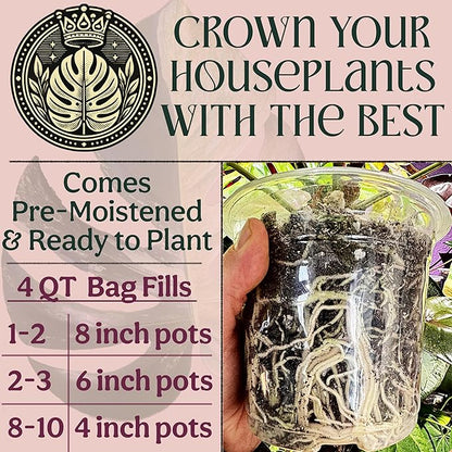 Craft Houseplant Potting Mix, Elite House Plant Soil, Chunky, Well Draining Potting Soil for Indoor Plants, Tropical Plants & Potted Plants, Sustainable & Peat Free, Less Prone to Gnats 4qt