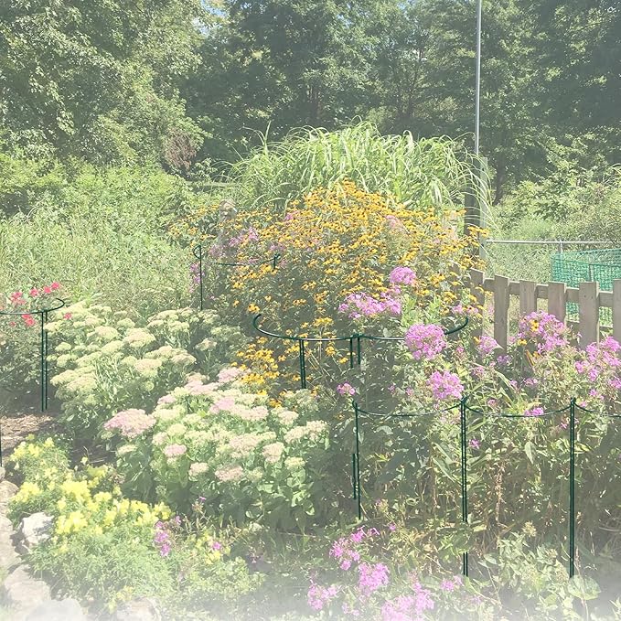 12 Pack Garden Plant Support Stakes, Half Round Peony Cages and Supports, Metal Garden Support Ring, Border Support for Outdoor Indoor Plants, Peony, Hydrangea,Tomato, Monstera