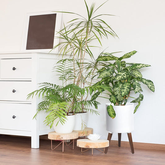 D'vine Dev 10 Inch Planter Pot with Stand, Mid-Century Tall Plant Pot with Legs for Indoor Plants, Medium, White, 88-O-B-1