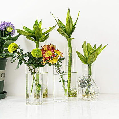 Kingbuy Plant Terrarium Container Propagation Station Square Tube Vase Wall Hanging Glass Planter Indoor Hydroponic Plants Home Office Garden Decor, 4 Pack