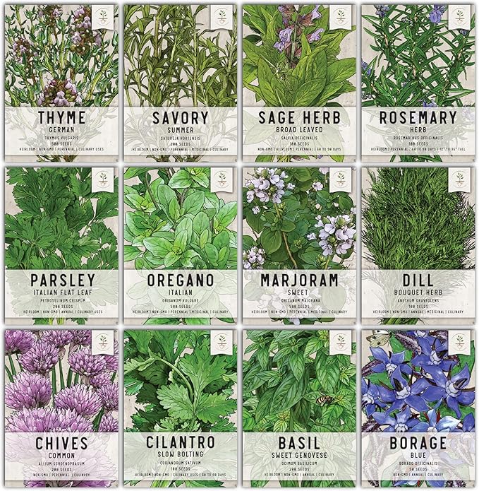 Seed Needs, Culinary Herb Seed Packet Collection Seed Starting Bundle (Includes 12 Individual Seed Packets, 36 Starter Pots & 1 Expandable Coco Coir Brick) Heirloom, Non-GMO, Untreated