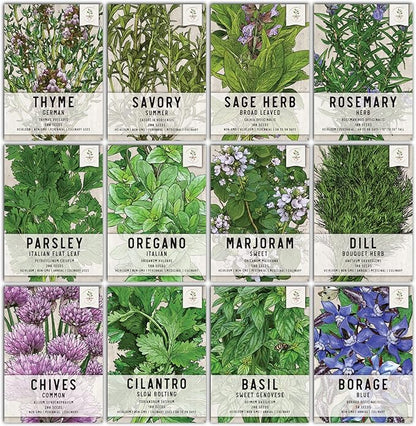 Seed Needs, Culinary Herb Seed Packet Collection Seed Starting Bundle (Includes 12 Individual Seed Packets, 36 Starter Pots & 1 Expandable Coco Coir Brick) Heirloom, Non-GMO, Untreated