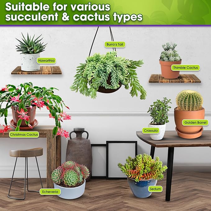 DUSPRO Succulents Soil Potting Mix – 7 in 1 Ingredients Well-Draining, Nutrient-Rich Cactus Potting Soil for Succulents and Cacti, Indoor & Outdoor Use, Ready to Use, Supports Healthy Root Growth, 1QT