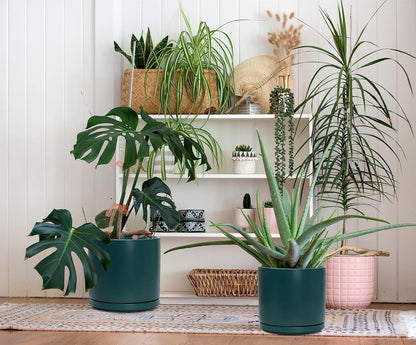 D'vine Dev 6 Inch & 8 Inch & 10 Inch, Set of 3 Round Ceramic Planter Pot with Drainage Hole and Saucer, Teal, 94-T-L-9