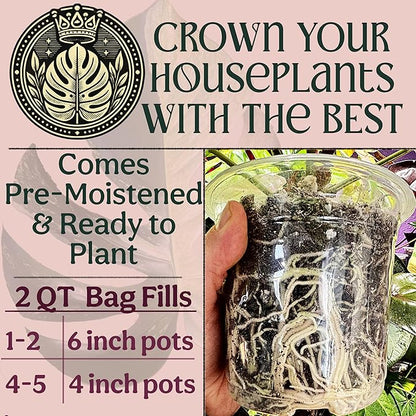 Craft Organic Houseplant Potting Mix, Elite House Plant Soil, Chunky, Well Draining Potting Soil for All Indoor Plants, Tropical Plants & Flowers, Sustainable & Peat Free, Less Prone to Gnats, 2QT