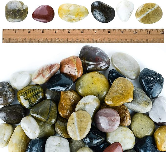 5 lbs Approx. 38 River Rocks Stones for Plants Pebbles for Indoor Plants | Aquarium Fish Tank Rocks | Polished Decorative Rocks for Vases (2-3 Inches)