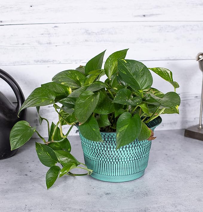 BIRDROCK HOME 2 Pack 9.5" Beaded Planter - Indoor or Outdoor Plant Flower - Flowers Plants Trees Porch Garden Pots - Rust and Weather Resistant - Faux Patina