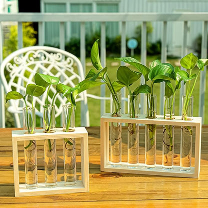 Wooden Propagation Station with 5 Glass Test Tubes, Tabletop Glass Terrarium Holder for Plant Cuttings Hydroponics, Home Office Desk Decor Gift for Women Mom Plant Lovers, Beige