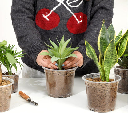 60 Pack 6 Inch Clear Nursery Pots with Drainage Holes, Transparent Plastic Plant Pots, Reinforced Seed Starter Garden Flower Pots, Comes with 50pcs Plant Labels