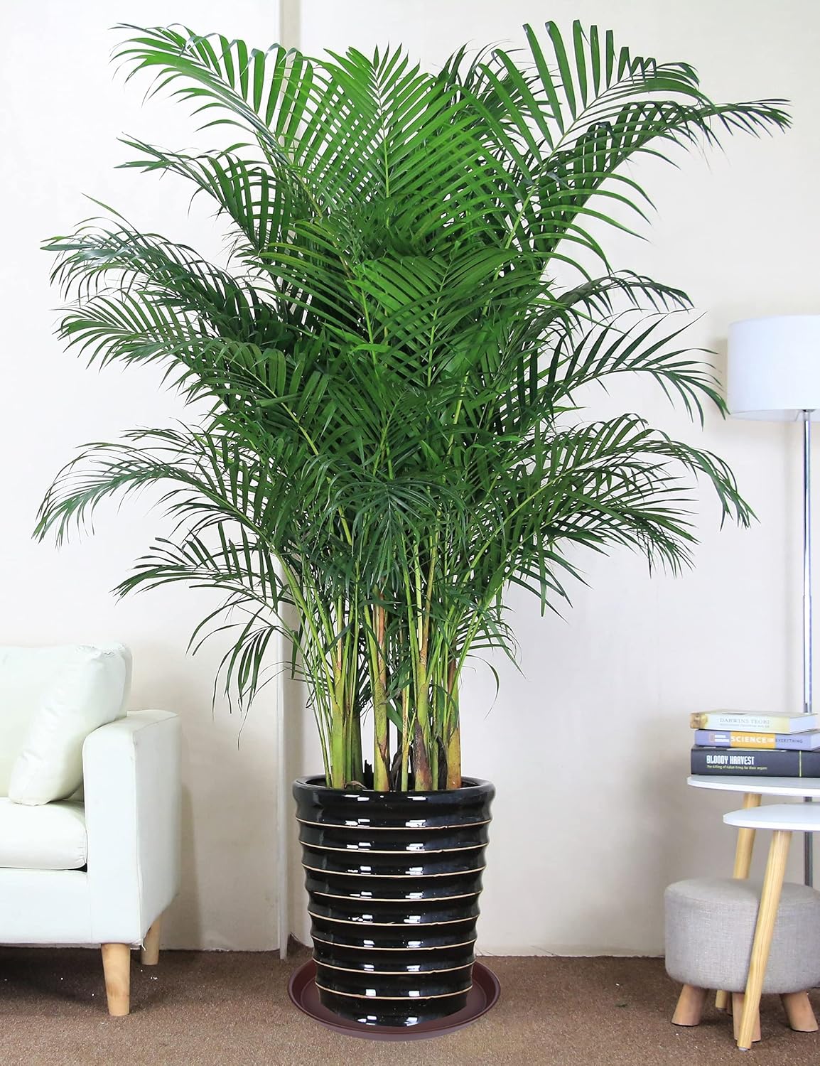 4 Pack of 18 19 inch Plant Saucer Drip Tray (16.6 inch Base), Heavy Duty Large Deep Plant Saucers for Pots, Bird Bath Bowls, Plastic Planter Water Trays for Indoors Outdoor (18", Chocolate)