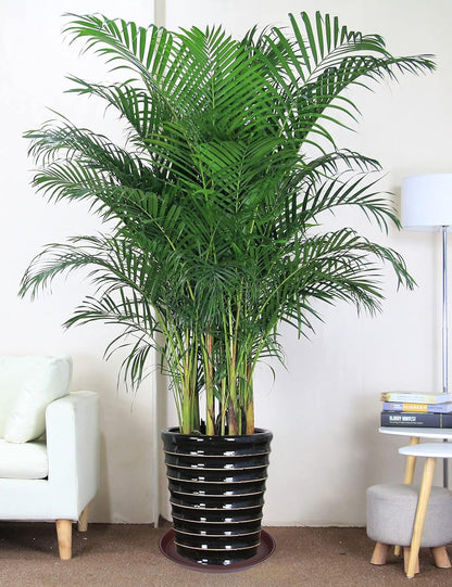 4 Pack of 18 19 inch Plant Saucer Drip Tray (16.6 inch Base), Heavy Duty Large Deep Plant Saucers for Pots, Bird Bath Bowls, Plastic Planter Water Trays for Indoors Outdoor (18", Chocolate)