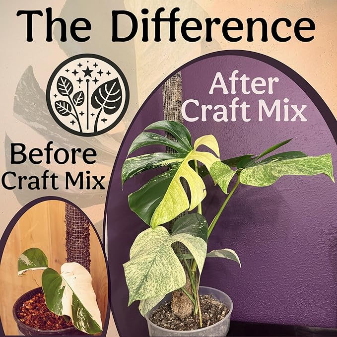 Craft Aroid Potting Mix- Elite Organic Alocasia, Philodendron, Monstera Soil Mix, Chunky, Well Draining Potting Soil for Indoor Plants, All Tropical Plants & Houseplants, Perlite & Peat Free 2QT