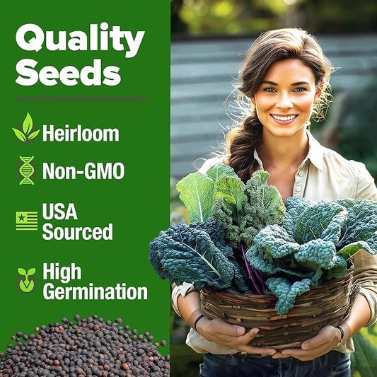HOME GROWN 𝗨𝗦𝗔 𝗣𝗥𝗘𝗠𝗜𝗨𝗠 Heirloom Vegetable Seeds 𝗡𝗢𝗡-𝗚𝗠𝗢 Vegetable Seeds for Planting Home Garden, Beans, Carrots, Peppers, Cucumber, Kale, Pepper Seeds, Tomato (4 Kale)