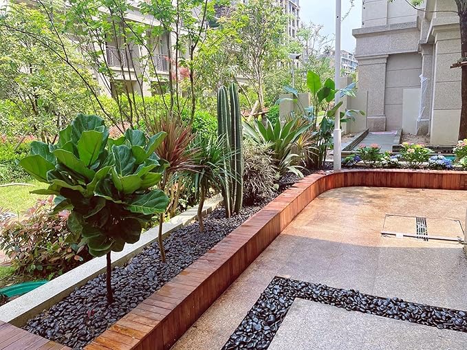 10 lbs Black Pebbles for Plants, 0.8-1.2 Inch Small Polished Stones. Decorative River Rocks for Outdoor Landscaping Vase Aquarium and Garden